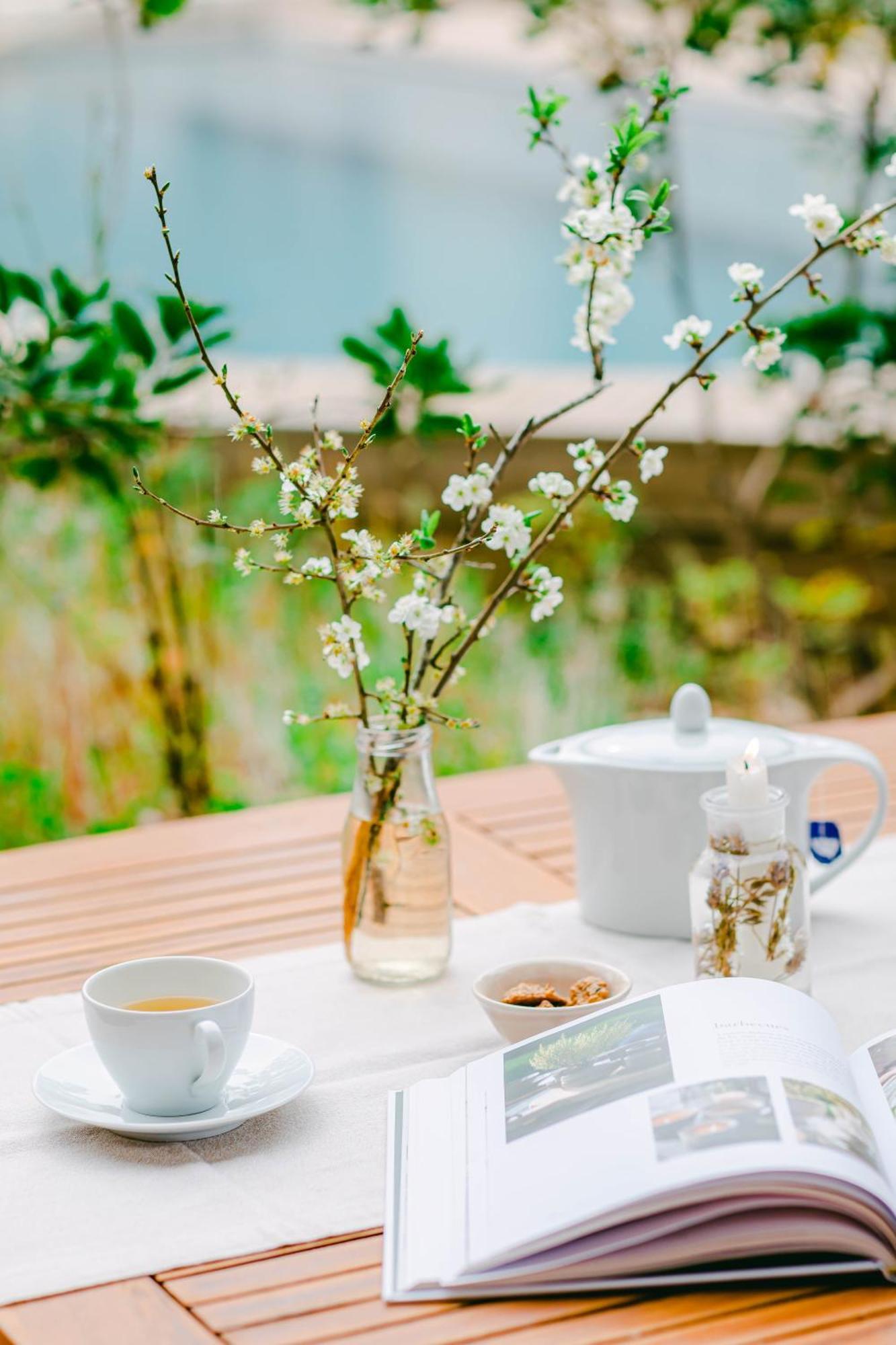 The Nest By Cooking And Nature Alvados Εξωτερικό φωτογραφία