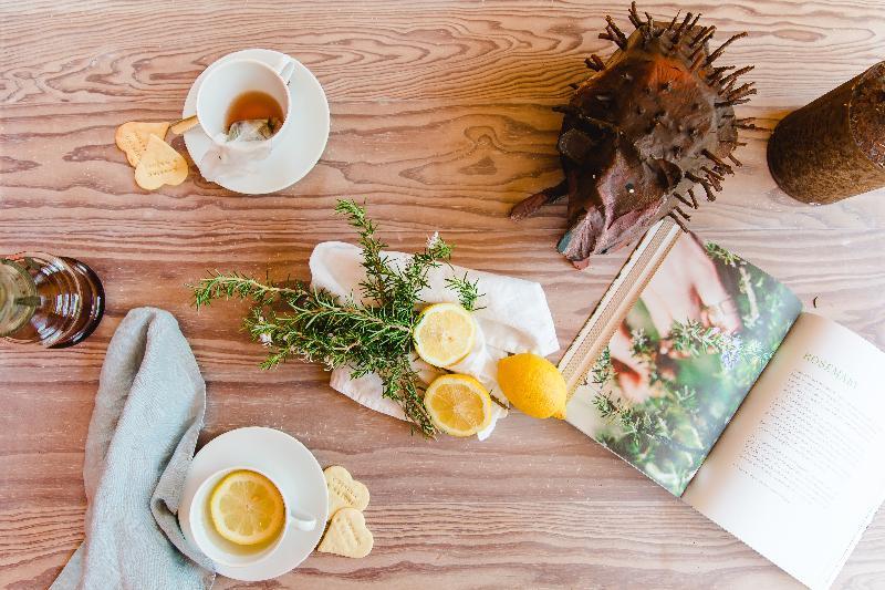The Nest By Cooking And Nature Alvados Εξωτερικό φωτογραφία